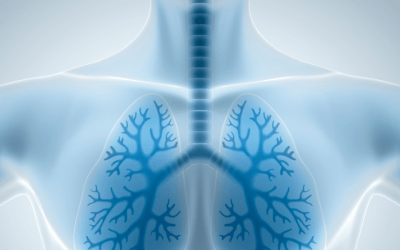 Your New Breathing Blueprint