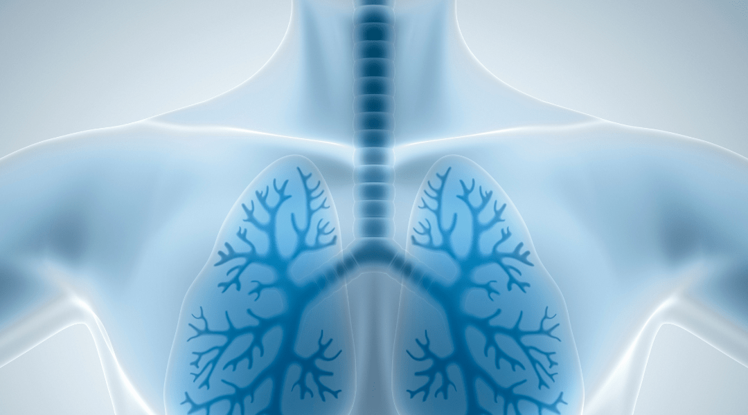 Your New Breathing Blueprint